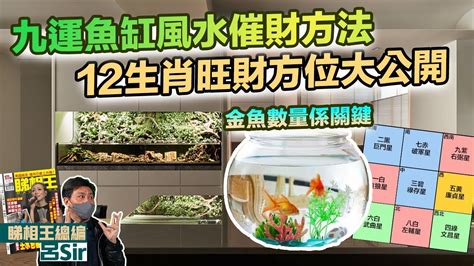 金魚擋煞|【金魚擋煞】掌握養金魚風水，驅煞招財！紅黑金魚怎麼養？ – 每。